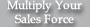 Multiply Your Sales Force